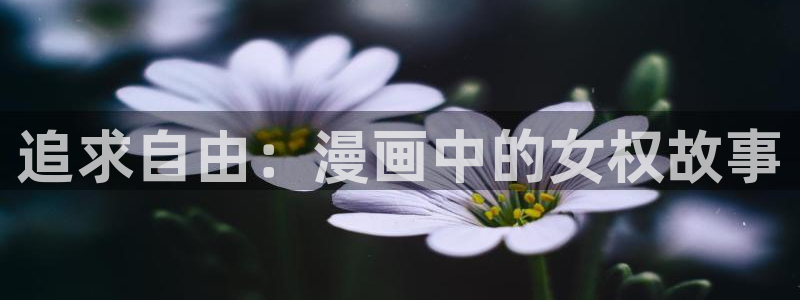 漫画羞羞：追求自由：漫画中的女权故事