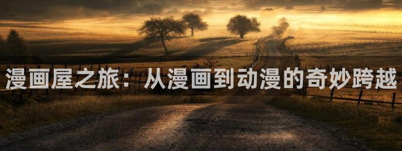 羞羞漫画污：漫画屋之旅：从漫画到动漫的奇妙跨越