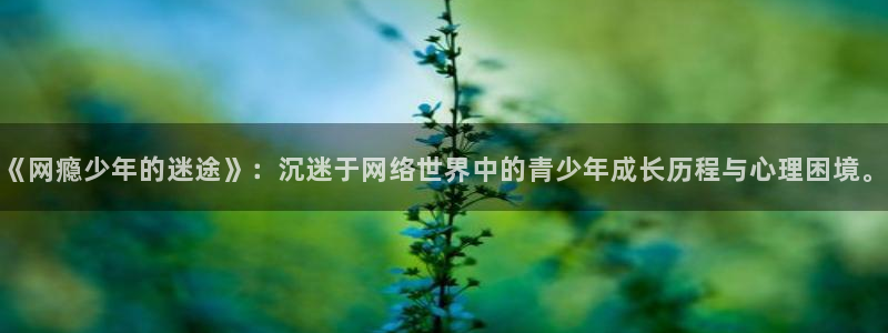 甜蜜惩罚羞羞动漫无删减：《网瘾少年的迷途》：沉迷于网络世界中的青少年成长历程与心