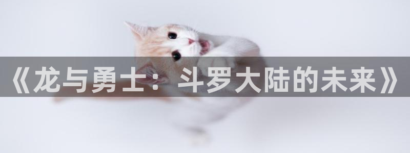 羞羞动漫专区：《龙与勇士：斗罗大陆的未来》