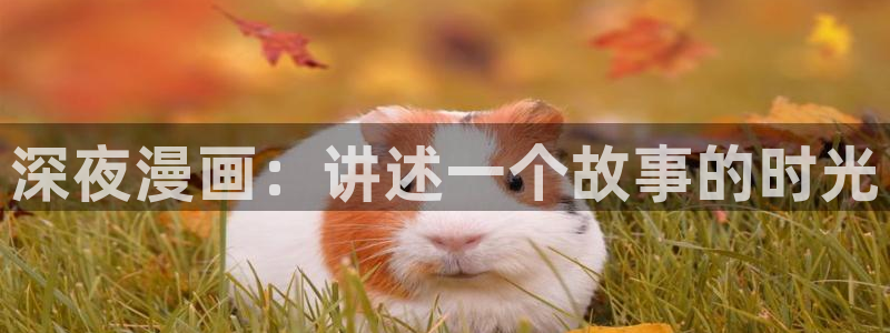 羞羞动漫后宫：深夜漫画：讲述一个故事的时光